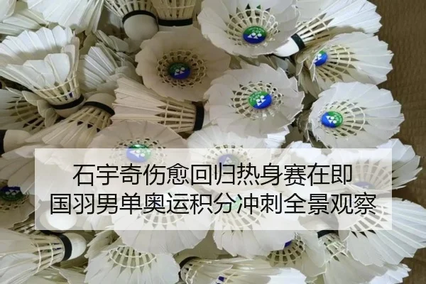石宇奇伤愈回归热身赛在即 国羽男单奥运积分冲刺全景观察
